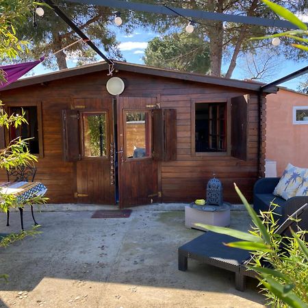 Chalet Des Oliviers 20Mn Des Plages Climatise Béziers Exterior foto